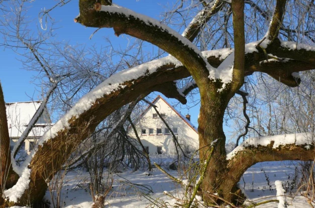 Kulturgutleben Boutiquehotel Seminarhaus Mollenbeck Екстер'єр фото